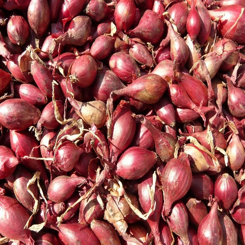 Small onions